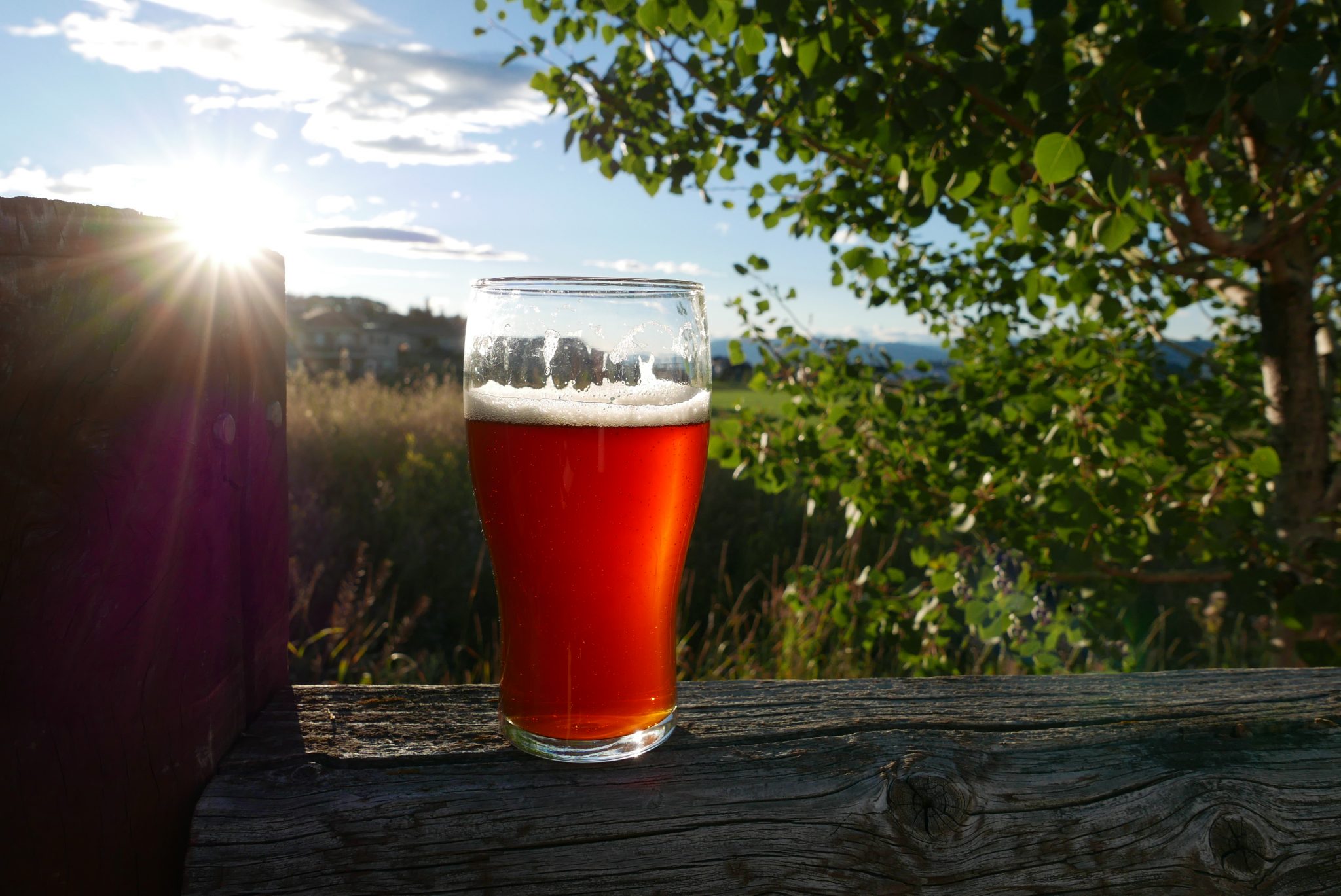 Wedding Wine, Beer, Ciders & Coolers BA Brewmaster