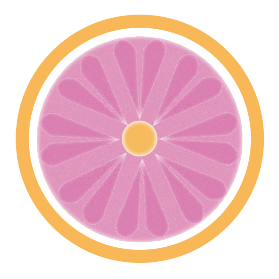 BA Hard Seltzer Pink Grapefruit